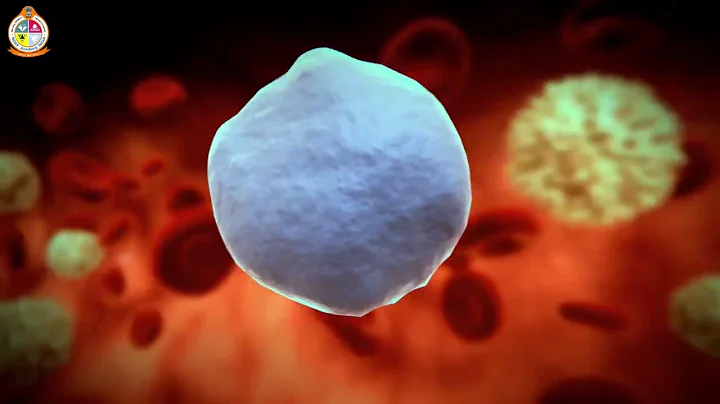 09  Components of Blood & their importance