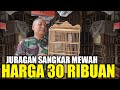 APA GA RUGI RATUSAN SANGKAR MEWAH DIJUAL MURAH HARGA KAKI LIMA DIKIOS PASAR PRAMUKA