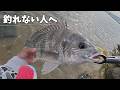 チニングで釣れるようになる動画【初心者向け】