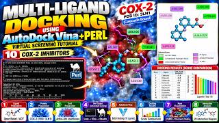 Multi Ligand Docking Using AutoDock Vina  COX 2 Virtual Screening Tutorial