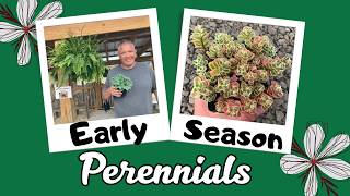 Best selling early Spring perennials PLUS 2 Big announcements and updates