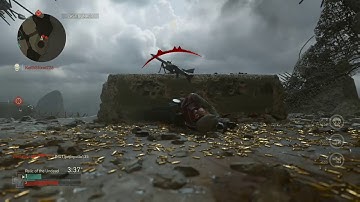 Relic of the undead gameplay (Cod WW2)