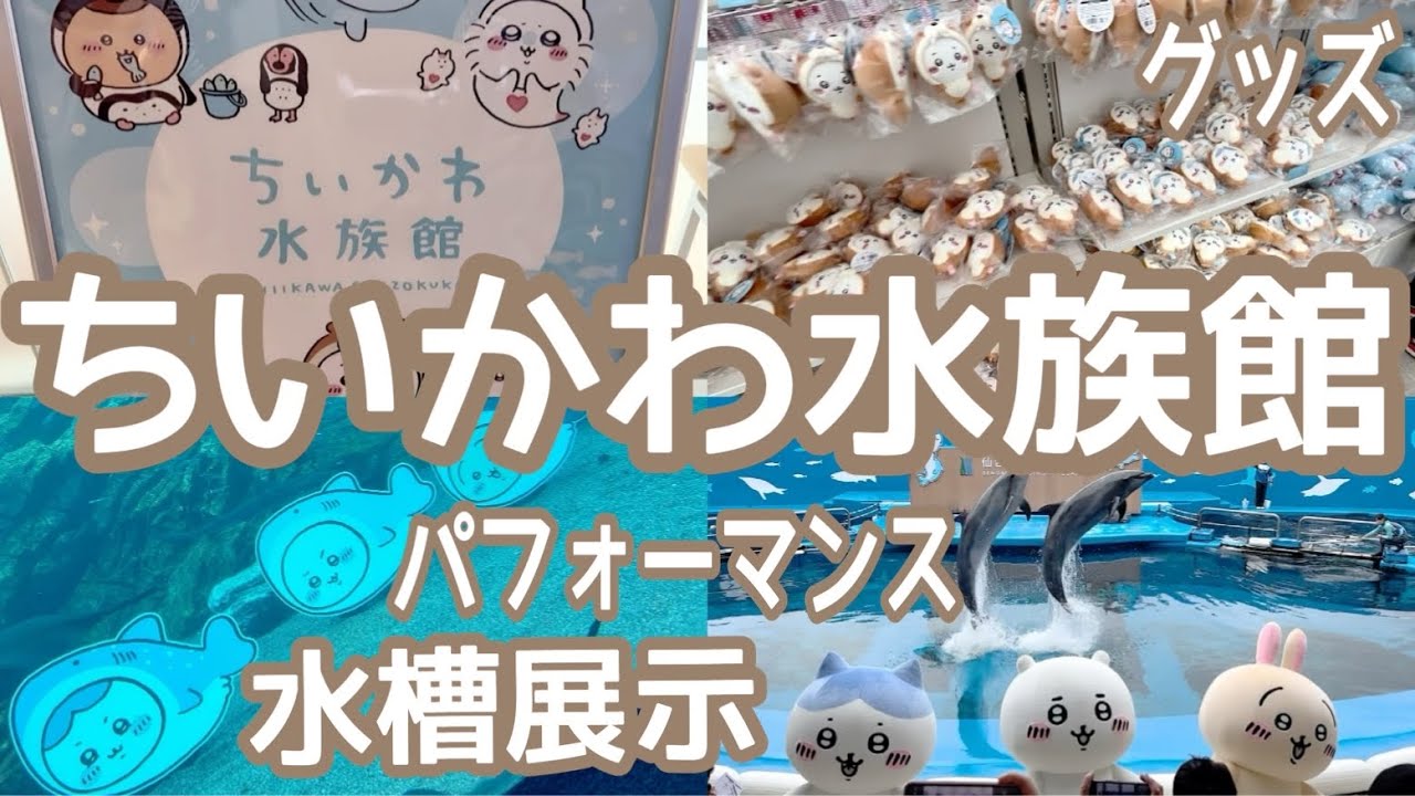 ちいかわ水族館】初日の仙台うみの杜水族館に行ってきた🐬ˎˊ˗/コラボ
