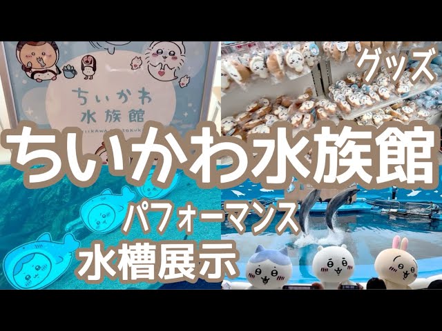 ちいかわ水族館】初日の仙台うみの杜水族館に行ってきた🐬ˎˊ˗/コラボ