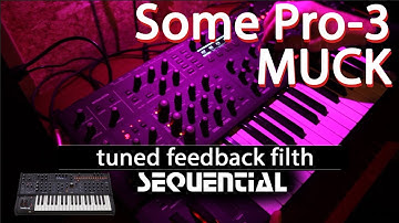 Exploring the Sequential Pro -3 -w/ Tuned Feedback