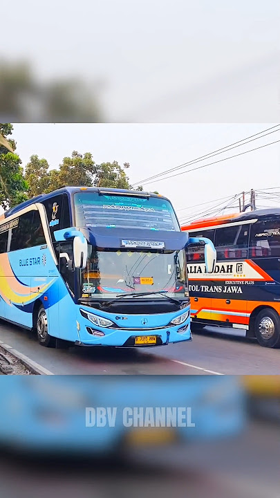 TELOLET BASURI BLUE STAR 