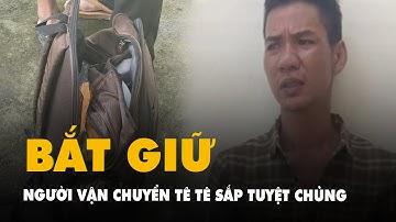 Bắt người vận chuyển tê tê sắp tuyệt chủng