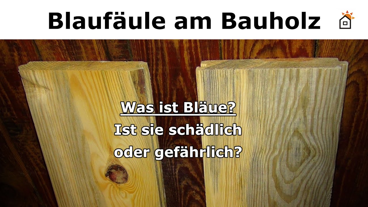 Erstes Mal im HOLZHANDEL? Darauf solltest du beim HOLZKAUF achten... | Jonas Winkler