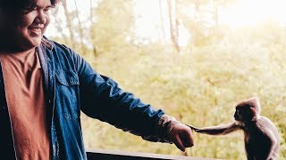 Fist Bumb A Monkey Vlog16