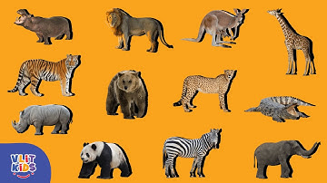 Animal Shadow Matching Game – Wild Safari Puzzle for Kids