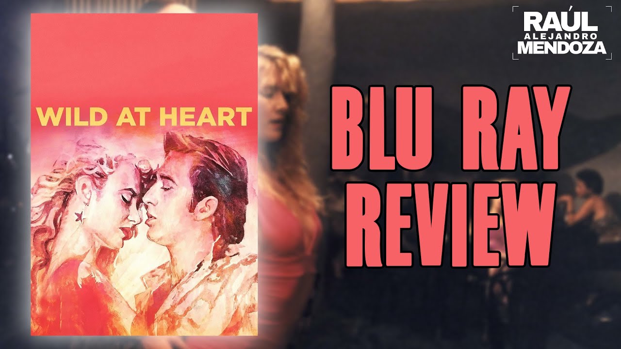 wild at heart shout select blu ray review delayed may release wild at heart shout select blu ray review delayed may release