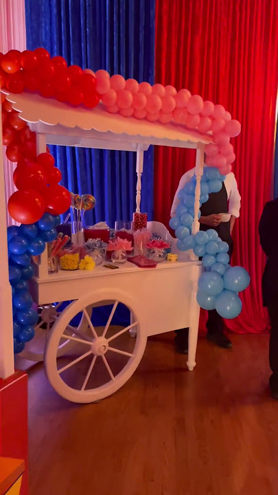 Circus Birthday Party Theme #shorts #miami #circus #twins #1stbirthday