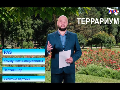 Террариум – Что делают партии пережившие выборы