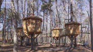 Owl Creek Landing in Virginia Beach to debut nation’s longest slide, treehouses and 65-foot tower