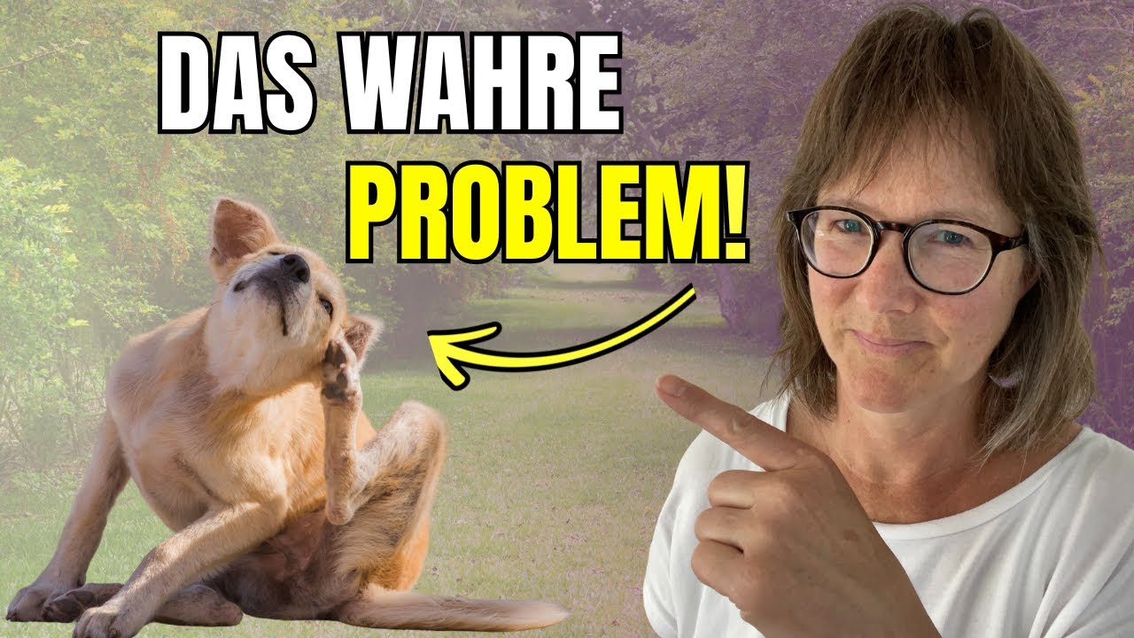 5 Anzeichen - dein Hund braucht eine Darmsanierung