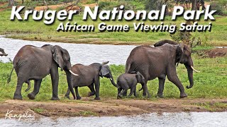 Kruger National Park  Highlights, Satara and Lower Sabi Rest Camps