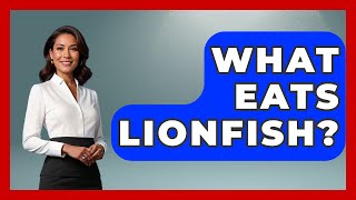 Detailed What Eats Lionfish? - The Marine Life Explorer Details
