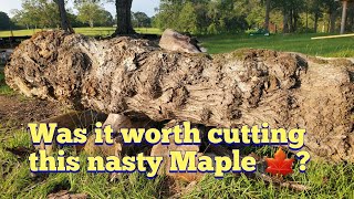 Was it worth it trying to save this nasty Red Maple log?