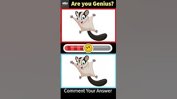 Can You Find 3 Hidden Mistakes? 👀 | Puzzle Challenge #findthedifference #viral #youtube #shorts