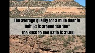 New Mexico GMU Unit 53 Hunting Information