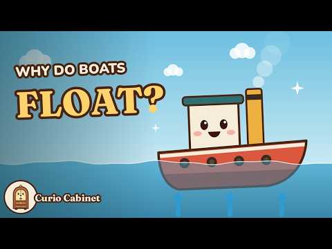 Why Do Boats Float? ⛵ Science for Kids | Curio Cabinet