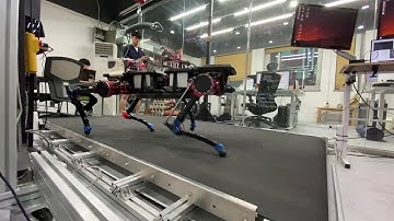 [PongBot-Q] Flying trot (2020.06.16)