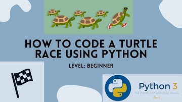 Coding a turtle Race in Python