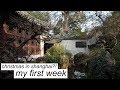 MY FIRST WEEK AND A HALF IN SHANGHAI | au pair in china