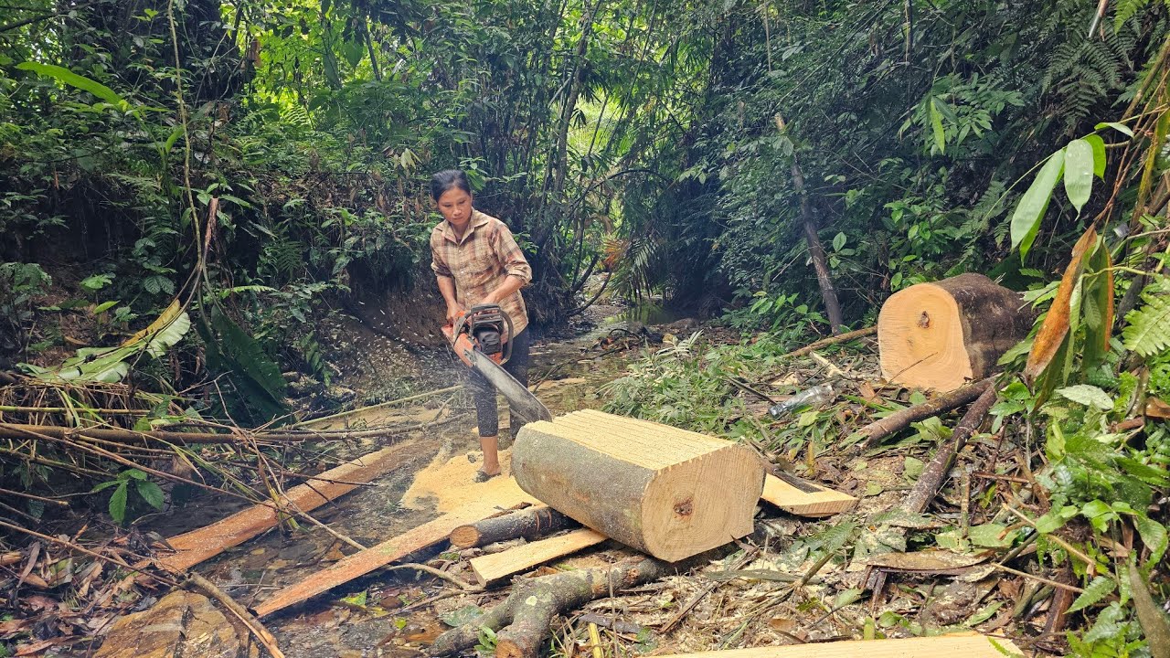 A Girl Alone Carries a Saw into the Forest to Cut Wood and Build Her Dream Home in the Wilderness