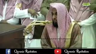تلاوة سورة التين فضيلة الشيخ د. عبدالله الجهني