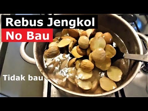 Cara merebus jengkol supaya tidak bau (no bau) dijamin gurih dan kenyal. 