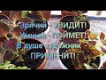 Заготовки для весенних композиций.  Смотреть внимательно!