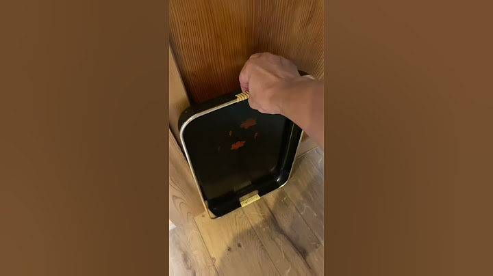 【Vlog】猫 #脱走 #ねこ