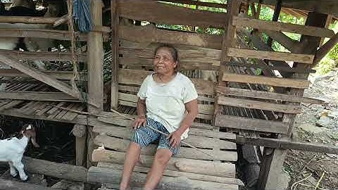 CEPAT TONTON SEBELUM DI HAPUS..!! KEHIDUPAN SUKU JAWA DI DESA TERPENCIL JAWA TENGAH
