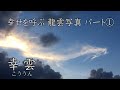 龍雲画像公開!幸せを呼ぶといわれている幸雲の画像です。