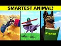 World&#39;s Smartest Animals RANKED
