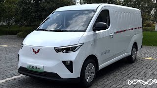 2024 Wuling Yangguang EV Van in-depth Walkaround