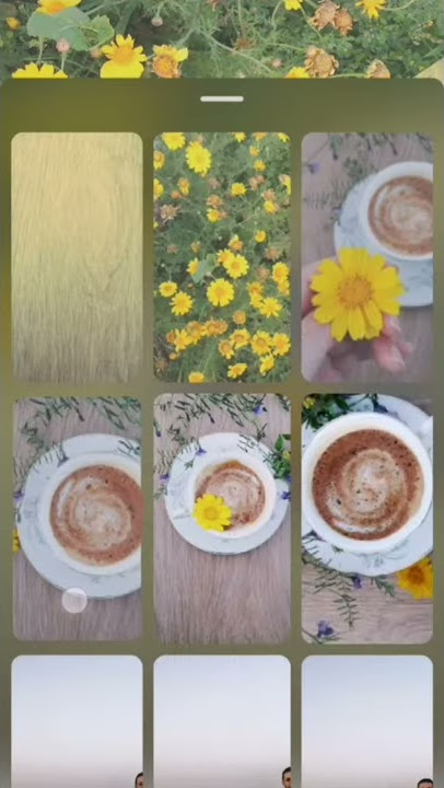 Spring Instagram Reel 🌈🌻🌼 #spring #reel #story