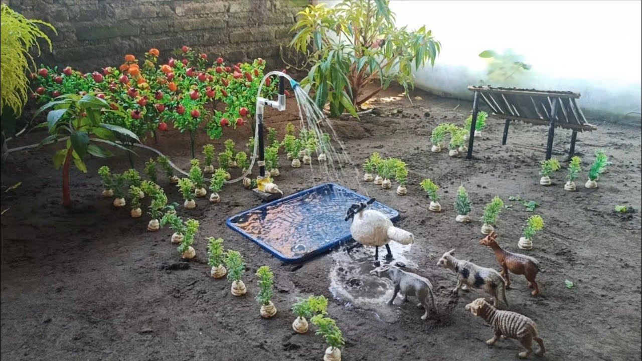 DIY: How to Make A Goat Shed, Shower of Animals, Kambing Kuda Dan sapi Part 03