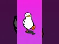 crazy duck walking #duck #crazy