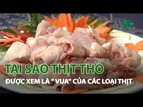 Video: Thịt Thỏ: Lợi Và Hại