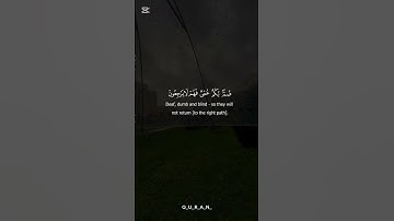 ✨ تلاوة خاشعة بصوت الشيخ ياسر الدوسري ✨صوت يلامس القلوب ويبعث السكينة في النفوس.