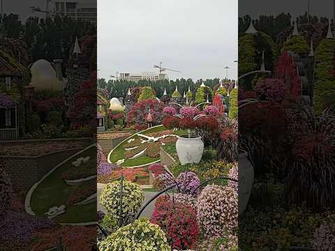 miracle garden Dubai#viral #youtubeshorts #dubai #trending #uae #sharjah #garden #minivlog