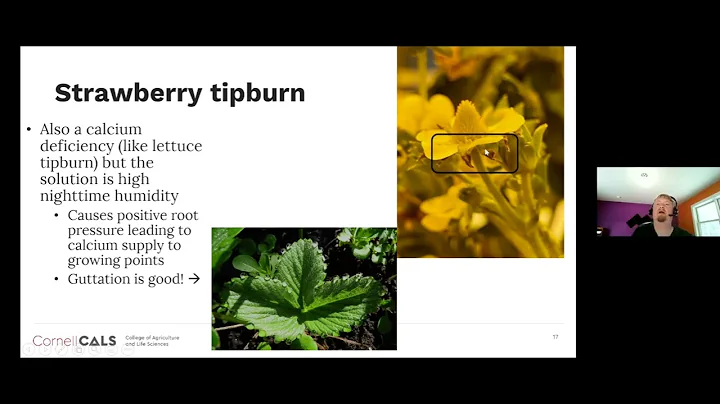 Empire State Producers Expo 2022: Berry Production...