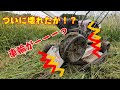 【SP650A】ついに車輪が外れた。日頃のメンテナンスは大切ですね。