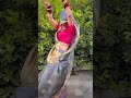 Yese Hi चल ग ड ल Vita Dancevideo Bhojpurisong Dance Bhojpuri Songs Dehadi Anjaliarora 