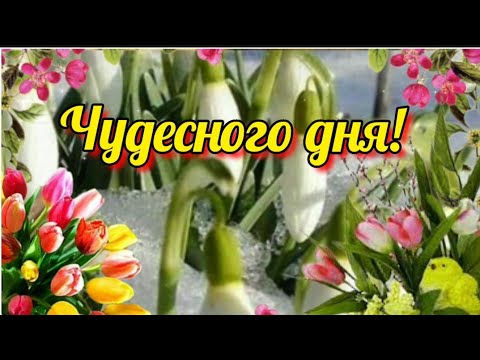 Хорошего дня! ☀️Пусть будет масса поводов для улыбок🐞🌷🎶 #МУЗЫКАЛЬНАЯОТКРЫТКА