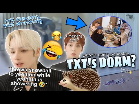 What goes on inside TXT's dorm? (txt dorm stories)