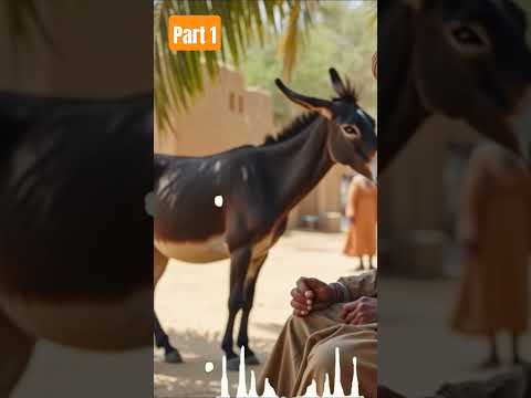 قصة جحا والبخيل حكايات قصص