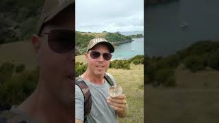 cruising great mercury island